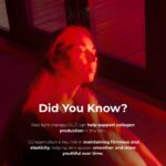 “ProRed” Red Light Therapy Body - Image 6